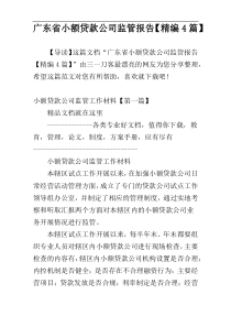 广东省小额贷款公司监管报告【精编4篇】