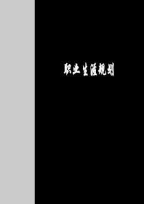 《职业生涯规划(精华版)》-47页1