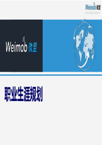 【渠道】职业规划