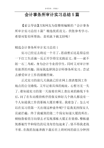 会计事务所审计实习总结5篇