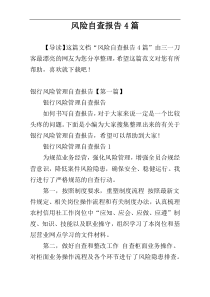 风险自查报告4篇