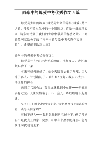 雨伞中的母爱中考优秀作文5篇