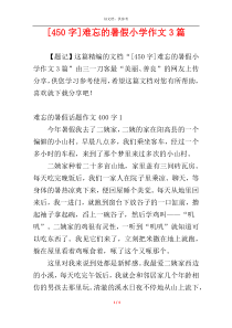 [450字]难忘的暑假小学作文3篇