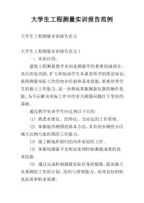 大学生工程测量实训报告范例