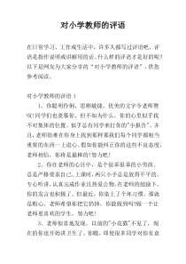 对小学教师的评语