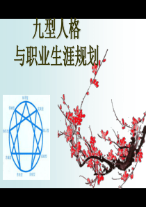 九型人格与职业生涯规划(好)