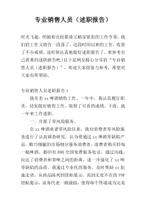 专业销售人员（述职报告）