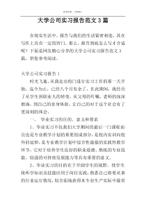 大学公司实习报告范文3篇