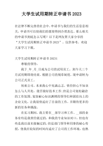 大学生试用期转正申请书2023