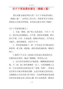 关于下雪场景的感言（精编3篇）