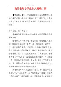 我的老师小学生作文精编3篇