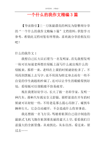 一个什么的我作文精编3篇