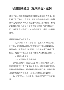 试用期满转正（述职报告）范例