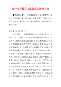 会计电算化实习报告范文精编5篇