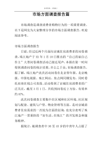 市场方面调查报告篇