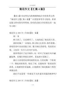 菊花作文【汇集4篇】