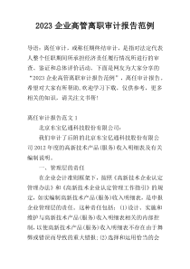2023企业高管离职审计报告范例