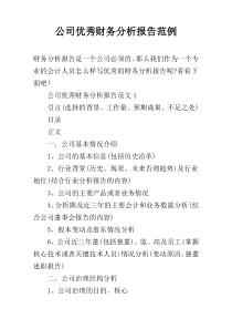 公司优秀财务分析报告范例