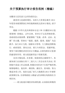 关于预算执行审计报告范例（精编）