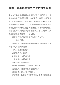 能源开发有限公司资产评估报告范例