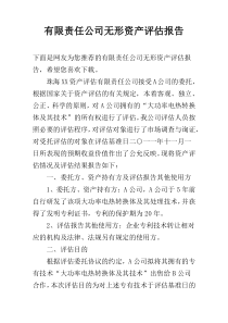 有限责任公司无形资产评估报告