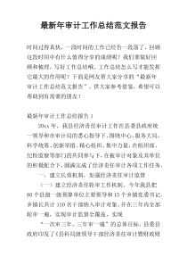 最新年审计工作总结范文报告