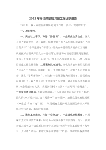 2022年书记抓基层党建工作述职报告