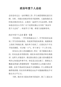 政治年度个人总结