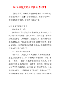 2023年党支部自评报告【5篇】