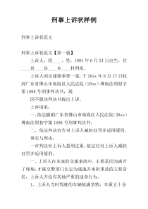 刑事上诉状样例