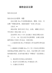 综治会议记录