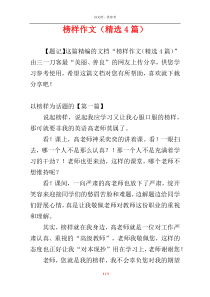 榜样作文（精选4篇）