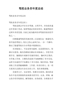 驾校业务员年度总结