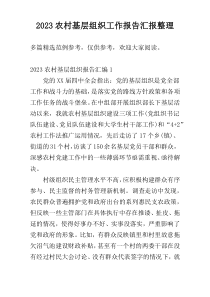 2023农村基层组织工作报告汇报整理