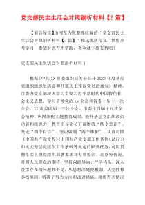党支部民主生活会对照剖析材料【5篇】