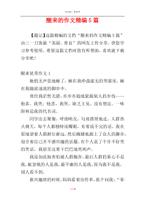 醒来的作文精编5篇