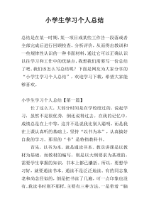 小学生学习个人总结