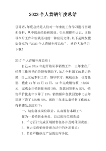 2023个人营销年度总结