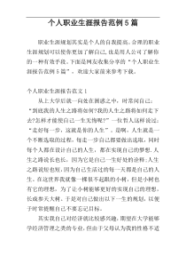 个人职业生涯报告范例5篇