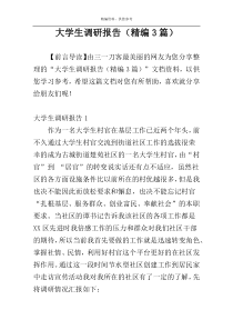 大学生调研报告（精编3篇）
