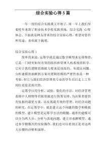 综合实验心得5篇