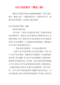 2023述法报告（精选4篇）