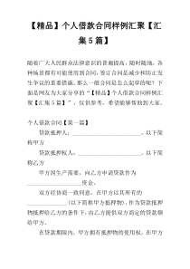 【精品】个人借款合同样例汇聚【汇集5篇】