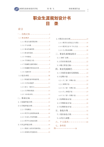 大专生的职业生涯规划