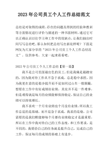 2023年公司员工个人工作总结范文