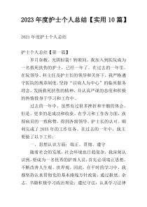 2023年度护士个人总结【实用10篇】