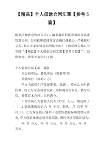 【精品】个人借款合同汇聚【参考5篇】