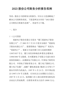 2023股份公司财务分析报告范例