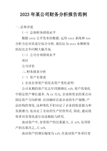 2023年某公司财务分析报告范例
