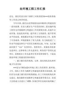 处环境工程工作汇报